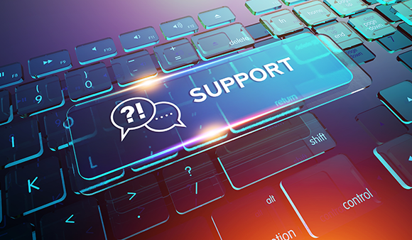 Technical Assistance in situ and remotely